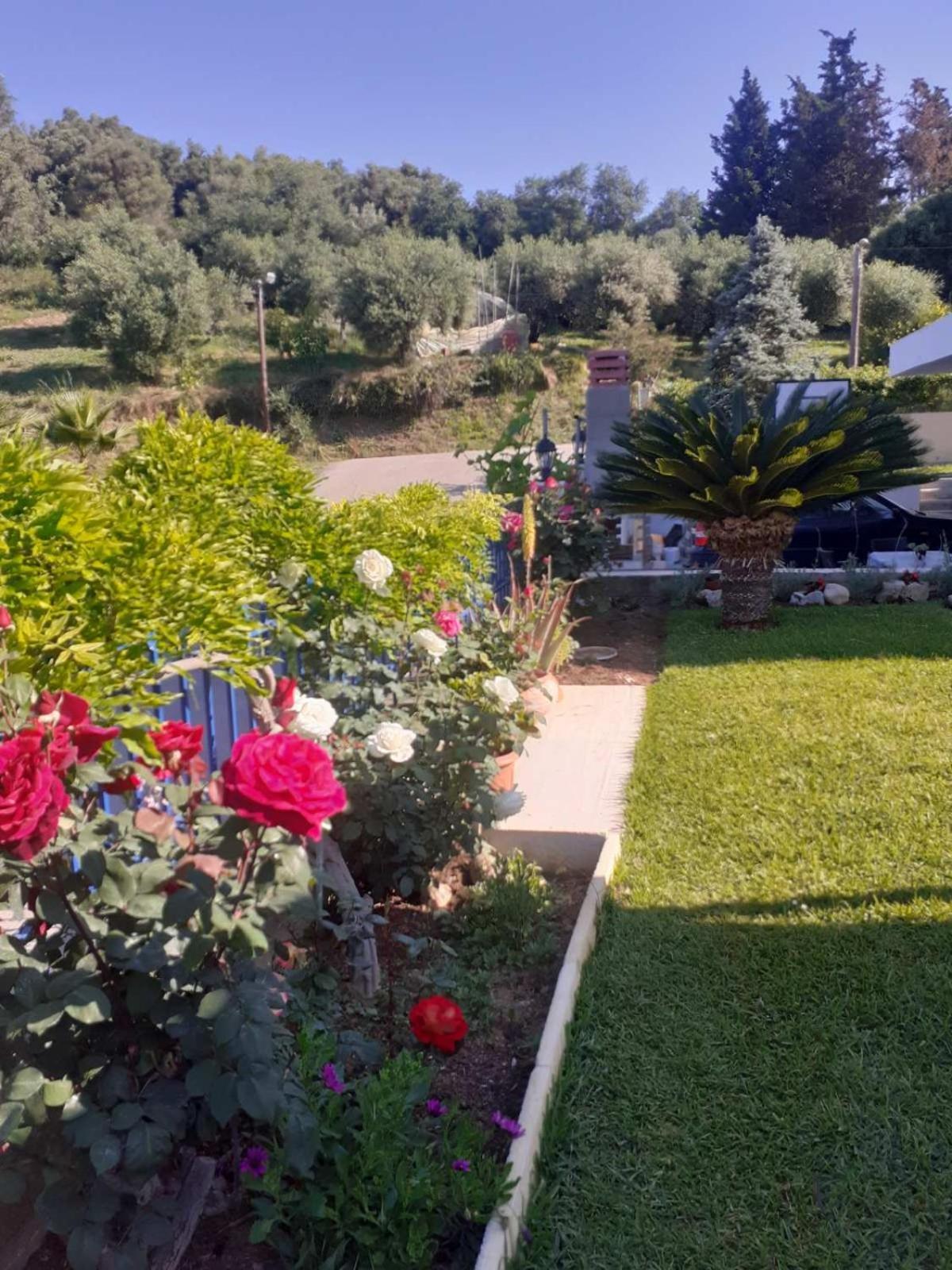 Villa Simos' Sea View House Nikopolis Esterno foto